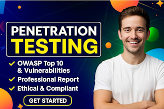 perform professional web and network penetration testing