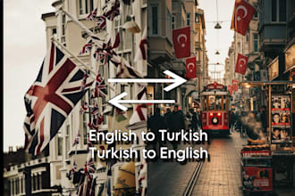 translate english to turkish as a native turkish speaker