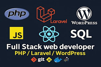 professional laravel web developer