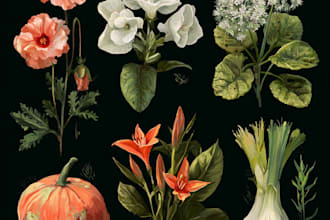paint vegetables, fruits, flowers and plants illustrations