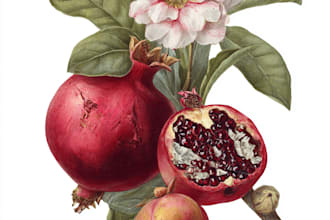 paint digital watercolor botanical illustration