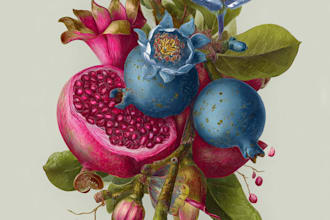 paint water colour botanical illustrations of plants