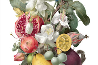 paint watercolour botanical illustrations