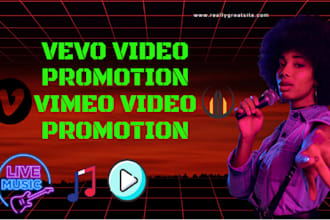 do viral vevo vimeo video promotion with google ads campaign