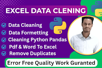 excel data cleaning with python pandas
