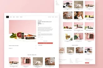 build shopify payment website and  store design shopify store and redesign iptv