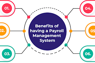 handle payroll and employee salary management professionally