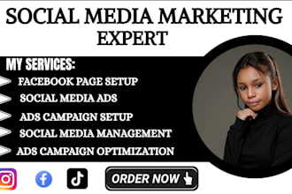run facebook tiktok instagram social media ads boost website traffic sales funne
