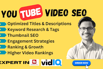 do expert youtube channel SEO and video promotion for results