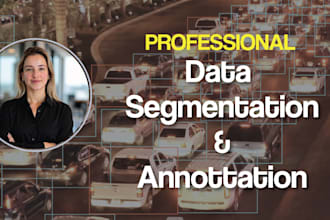 do annotation and segmentation for images and videos