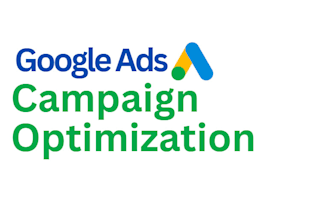 audit and optimize google ads PPC campaigns