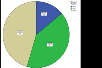 do statistical analysis by using spss