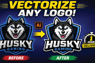 do vector tracing in 1 hours