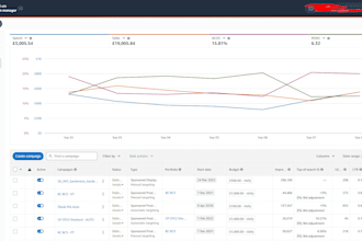 create and manage amazon ppc campaigns, ppc account audit optimization