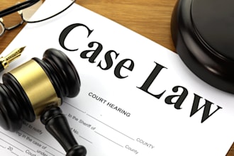 provide expert legal admin and litigation support services