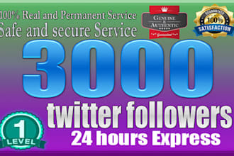 1000 twitter followers as your need