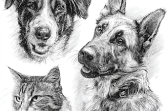 draw pet portrait sketch from photo hand drawn dog cat horse pencil drawing