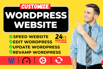 edit, update, audit and speed optimize your wordpress website