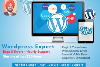 fix wordpress issues, bugs, or errors on an hourly basis
