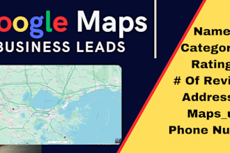 provide verified local business leads from google maps