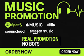 do lifetime organic spotify streams, spotify music track
