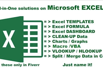 be your excel expert for data entry and formatting