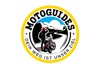 design a professional pilot, tourism, racing, driver logo