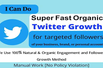 real organic targeted twitter promotion