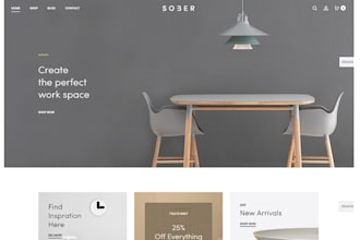 develop a professional and mobile friendly website
