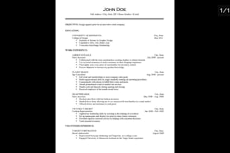 make a professional bussiness resume , translating the words