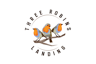 create outstanding robin logo with express delivery