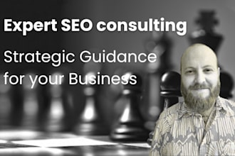 provide SEO consulting and strategic guidance