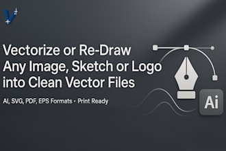 vectorize or redraw any design or image into clean vectors