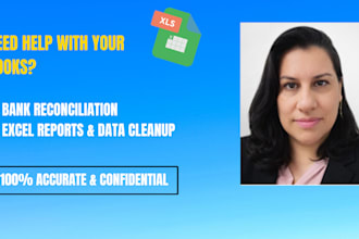 do bank reconciliation, data cleanup, excel financial reports