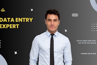 do urgent data entry and excel work quickly
