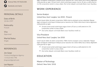 write a professional resume or CV to help you get hired