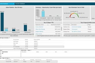 develop custom ai tools and automation systems