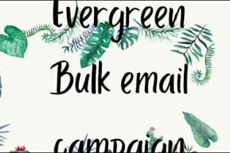 send professional bulk email campaigns