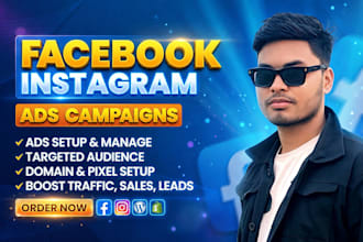 setup and manage facebook and instagram ads campaign