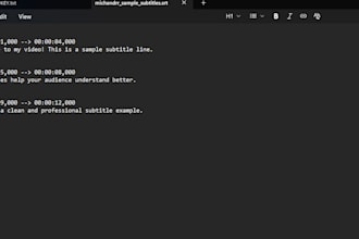 professionally subtitle your video with clean srt files