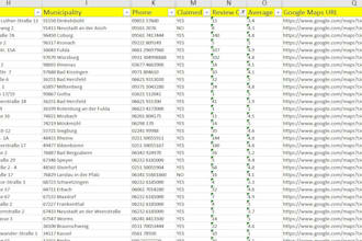 organize and format excel data