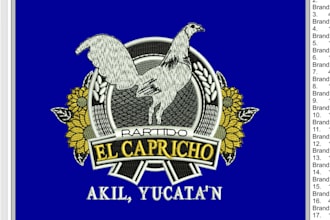do professional embroidery digitizing an hours