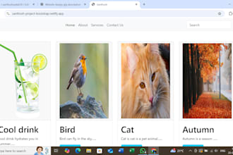 create and design dynamic websites