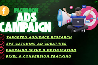 create and manage professional facebook ads campaign