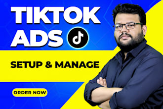 setup and run tiktok ads campaign tiktok video ads as your tiktok ads manager