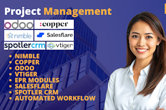 setup and customize nimble, copper, spotler, salesflare, odoo, and vtiger crm