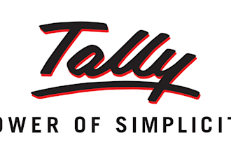 handle excel, powerpoint, and tally data entry professionally