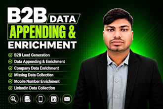 do data enrichment, data mining and data entry