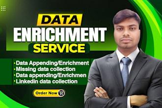do data enrichment, data mining and data entry