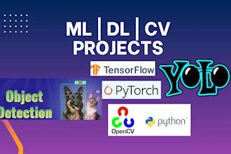 do machine learning, deep learning, computer vision projects and debug